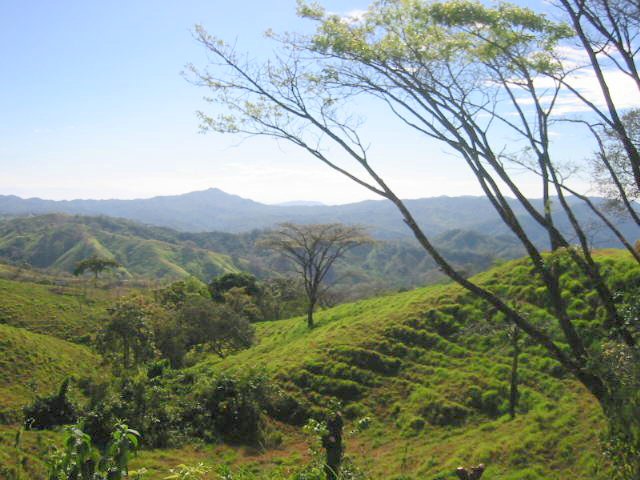 vue de la finca de 800 has de Jicaral costa rica