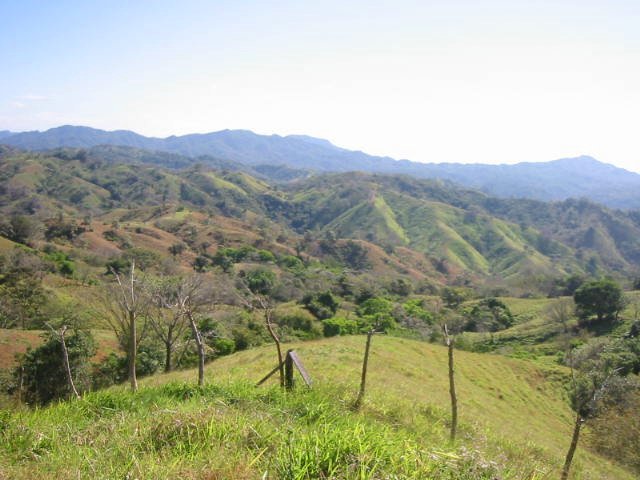 vue de la finca de 800 has de Jicaral costa rica