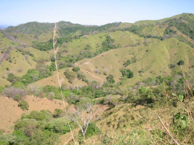 vue de la finca de 800 has de Jicaral costa rica