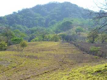 Vue de la finca de Camital de Nicoya, Costa Rica