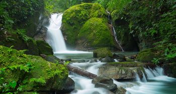 Vue de la finca de Osa, Costa Rica