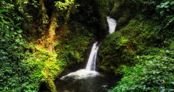 Vue de la finca de Osa, Costa Rica