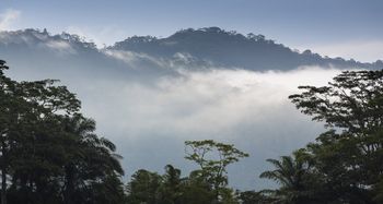 Vue de la finca de Osa, Costa Rica
