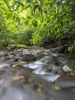 Vue de la finca de Osa, Costa Rica