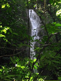 Vue de la finca de Osa, Costa Rica