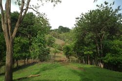 Vue de la finca de Hojancha, Costa Rica