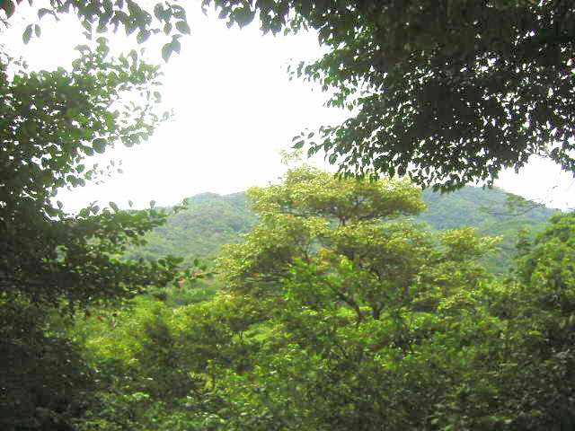 finca chumico pr�s de santa cruz