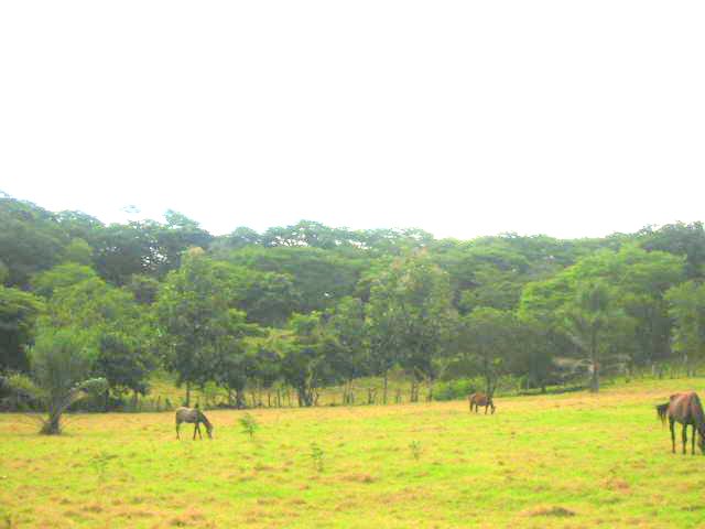vue finca chumico