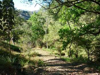 Vue de la finca de 17 has de Paquera, Costa Rica