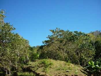 Vue de la finca de 17 has de Paquera, Costa Rica