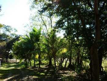 Vue de la finca de 17 has de Paquera, Costa Rica