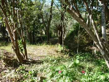 Vue de la finca de 17 has de Paquera, Costa Rica