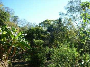 Vue de la finca de 17 has de Paquera, Costa Rica