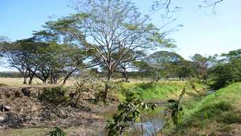 Vues de la finca de Santa Cruz, Costa Rica