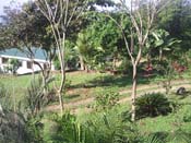 vue hotel playa hermosa