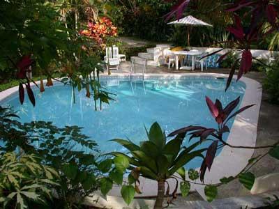 vue de la piscine