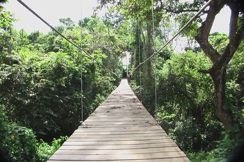 Vue du lodge de Santa Teresa, Costa Rica