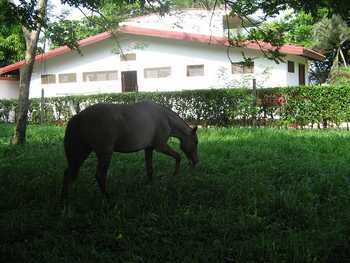 Vue de la maison de plage, Costa Rica
