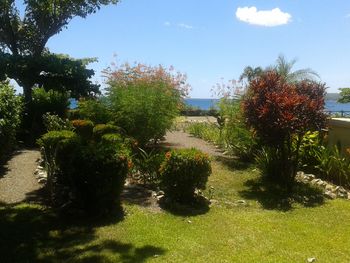 Vue de la maison de Potrero, Costa Rica