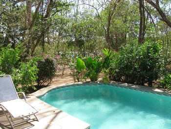 Vue de la maison de Playa Grande, Costa Rica
