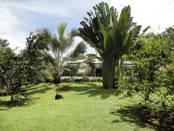Vue de la maison de Ojochal, Costa Rica