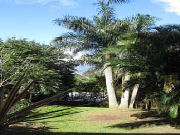 Vue de la maison d'Escazu, Costa Rica