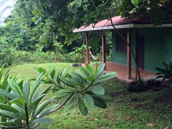Vue de la maison de Santa Teresa, Costa Rica