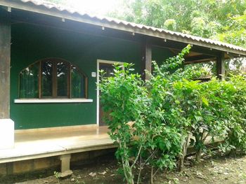 Vue de la maison de Playa Potrero, Costa Rica