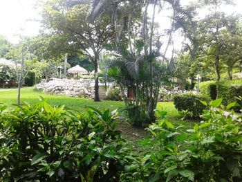 Vue de la maison de Playa Potrero, Costa Rica