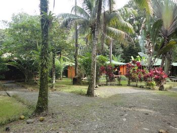 Vue de la maison de Ojochal, Costa Rica