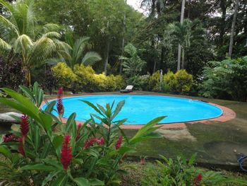 Vue de la maison de Ojochal, Costa Rica