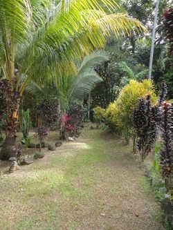Vue de la maison de Ojochal, Costa Rica