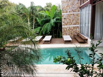 Vue de la maison de Playa Grande, Costa Rica