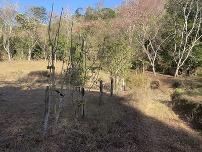 Vue de la maison de la Fresca, Costa Rica