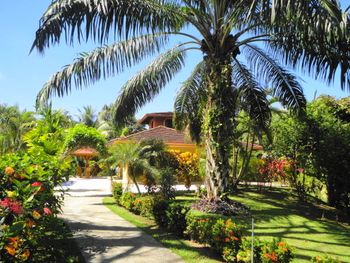 Vue de la maison de Ojochal, Costa Rica