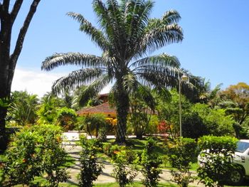 Vue de la maison de Ojochal, Costa Rica