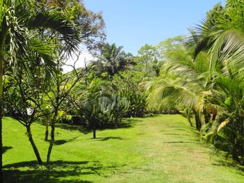 Vue de la maison de Ojochal, Costa Rica