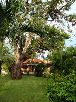 Vue de la maison de Tamarindo, Costa Rica