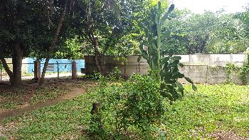 Vue de la maison de Playa Potrero, Costa Rica