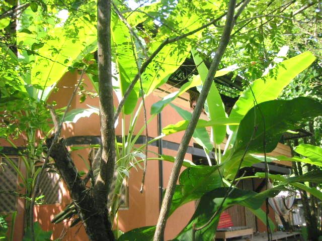 vue de la maison