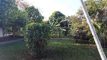 Vue de la petite maison de Playa Potrero, Costa Rica