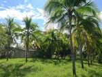 Vue de la propr�t� de Playa Negra, Costa Rica