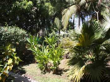 Vue des appartements de Playa Potrero, Costa Rica