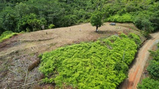 Vue du terrain d'Ojochal, Costa Rica