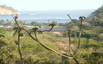 Vue du terrain de Samara, Costa Rica