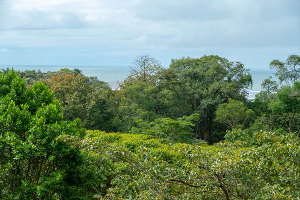 Vue du terrain d'Ojochal, Costa Rica