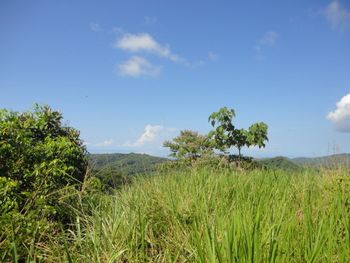 Vue de la finca de Ojochal, Costa Rica