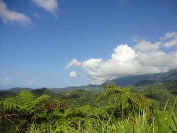 Vue de la finca de Ojochal, Costa Rica
