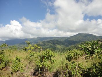 Vue de la finca de Ojochal, Costa Rica