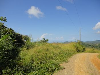 Vue de la finca de Ojochal, Costa Rica